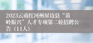 2023云南红河州屏边县“苗岭振兴”人才专项第二轮招聘公告（11人）