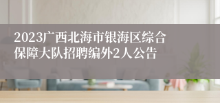 2023广西北海市银海区综合保障大队招聘编外2人公告