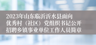 2023年山东临沂沂水县面向优秀村（社区）党组织书记公开招聘乡镇事业单位工作人员简章