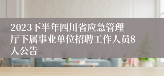 2023下半年四川省应急管理厅下属事业单位招聘工作人员8人公告