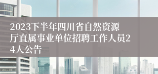 2023下半年四川省自然资源厅直属事业单位招聘工作人员24人公告