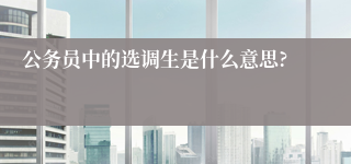 公务员中的选调生是什么意思?