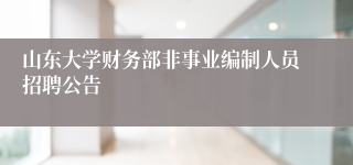 山东大学财务部非事业编制人员招聘公告