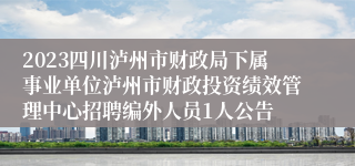 2023四川泸州市财政局下属事业单位泸州市财政投资绩效管理中心招聘编外人员1人公告