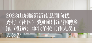 2023山东临沂沂南县面向优秀村（社区）党组织书记招聘乡镇（街道）事业单位工作人员1人公告