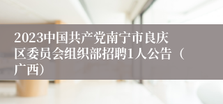 2023中国共产党南宁市良庆区委员会组织部招聘1人公告（广西）