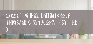2023广西北海市银海区公开补聘党建专员4人公告（第二批）