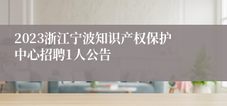 2023浙江宁波知识产权保护中心招聘1人公告
