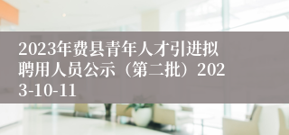 2023年费县青年人才引进拟聘用人员公示（第二批）2023-10-11