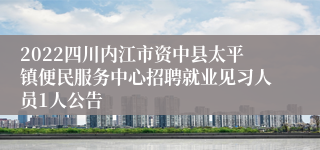 2022四川内江市资中县太平镇便民服务中心招聘就业见习人员1人公告