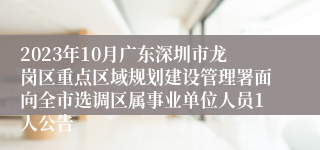 2023年10月广东深圳市龙岗区重点区域规划建设管理署面向全市选调区属事业单位人员1人公告