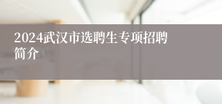 2024武汉市选聘生专项招聘简介
