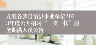 龙胜各族自治县事业单位2023年度公开招聘“三支一扶”服务期满人员公告