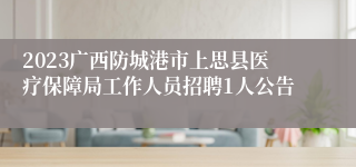 2023广西防城港市上思县医疗保障局工作人员招聘1人公告