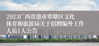 2023广西贵港市覃塘区文化体育和旅游局关于招聘编外工作人员1人公告