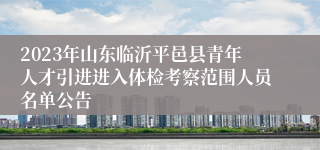2023年山东临沂平邑县青年人才引进进入体检考察范围人员名单公告
