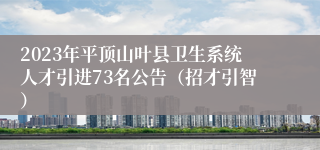 2023年平顶山叶县卫生系统人才引进73名公告（招才引智）