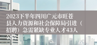 2023下半年四川广元市旺苍县人力资源和社会保障局引进（招聘）急需紧缺专业人才43人公告