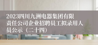 2023四川九洲电器集团有限责任公司企业招聘员工拟录用人员公示（二十四）