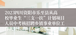 2023四川资阳市乐至县从高校毕业生“三支一扶”计划项目人员中考核招聘乡镇事业单位工作人员拟聘用人员公示