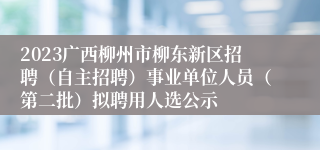 2023广西柳州市柳东新区招聘（自主招聘）事业单位人员（第二批）拟聘用人选公示