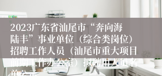 2023广东省汕尾市“奔向海陆丰”事业单位（综合类岗位）招聘工作人员（汕尾市重大项目前期工作办公室）拟聘用人员名单公示