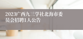 2023广西九三学社北海市委员会招聘1人公告
