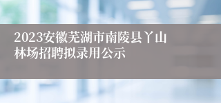 2023安徽芜湖市南陵县丫山林场招聘拟录用公示