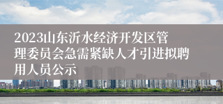 2023山东沂水经济开发区管理委员会急需紧缺人才引进拟聘用人员公示