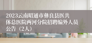 2023云南昭通市彝良县医共体总医院两河分院招聘编外人员公告（2人）