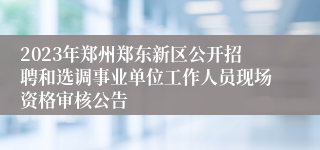 2023年郑州郑东新区公开招聘和选调事业单位工作人员现场资格审核公告