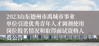 2023山东德州市禹城市事业单位引进优秀青年人才调剂使用岗位报名情况和取得面试资格人员公告