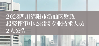 2023四川绵阳市游仙区财政投资评审中心招聘专业技术人员2人公告
