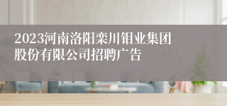 2023河南洛阳栾川钼业集团股份有限公司招聘广告