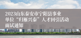 2023山东泰安市宁阳县事业单位“归雁兴泰”人才回引活动面试通知