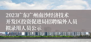 2023广东广州南沙经济技术开发区投资促进局招聘编外人员拟录用人员公示