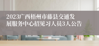 2023广西梧州市藤县交通发展服务中心招见习人员3人公告