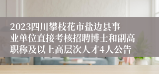 2023四川攀枝花市盐边县事业单位直接考核招聘博士和副高职称及以上高层次人才4人公告