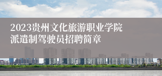 2023贵州文化旅游职业学院派遣制驾驶员招聘简章