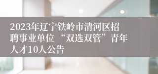 2023年辽宁铁岭市清河区招聘事业单位 “双选双管”青年人才10人公告