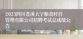2023四川苍溪大宇粮食经营管理有限公司招聘考试总成绩公告