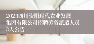 2023四川资阳现代农业发展集团有限公司招聘劳务派遣人员3人公告