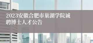 2023安徽合肥市巢湖学院诚聘博士人才公告
