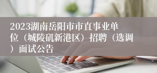 2023湖南岳阳市市直事业单位（城陵矶新港区）招聘（选调）面试公告