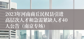 2023年河南商丘民权县引进高层次人才和急需紧缺人才40人公告（南京专场）