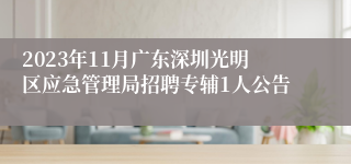 2023年11月广东深圳光明区应急管理局招聘专辅1人公告