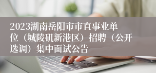 2023湖南岳阳市市直事业单位（城陵矶新港区）招聘（公开选调）集中面试公告
