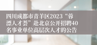 四川成都市青羊区2023“蓉漂人才荟”赴北京公开招聘40名事业单位高层次人才的公告