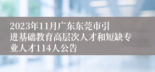 2023年11月广东东莞市引进基础教育高层次人才和短缺专业人才114人公告