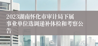 2023湖南怀化市审计局下属事业单位选调递补体检和考察公告